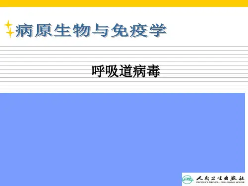 02呼吸道病毒