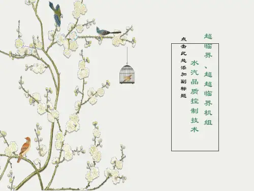 超临界机组水质控制技术