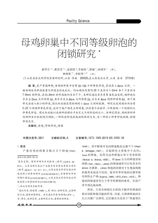 母鸡卵巢中不同等级卵泡的闭锁研究