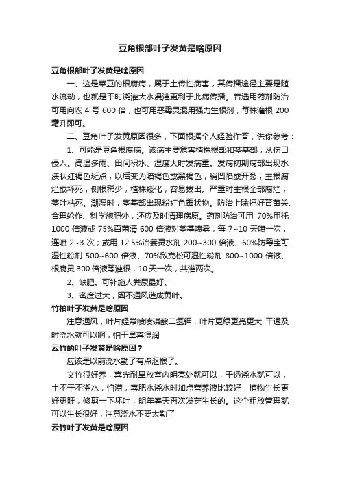 豆角根部叶子发黄是啥原因