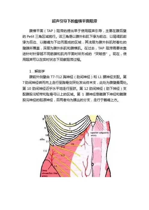超声引导下的腹横平面阻滞