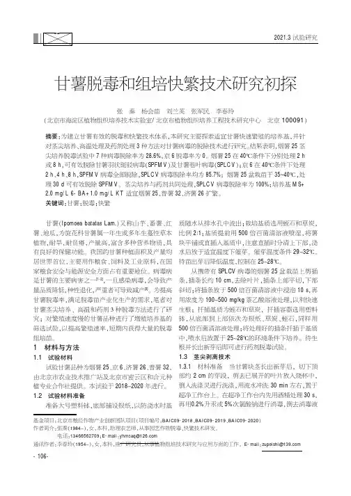 甘薯脱毒和组培快繁技术研究初探