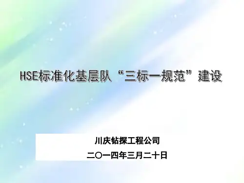 HSE标准化示范队“三标一规范”建设ppt
