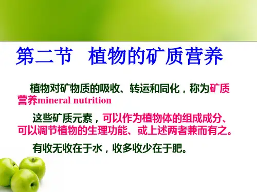 一植物必需的矿质元素