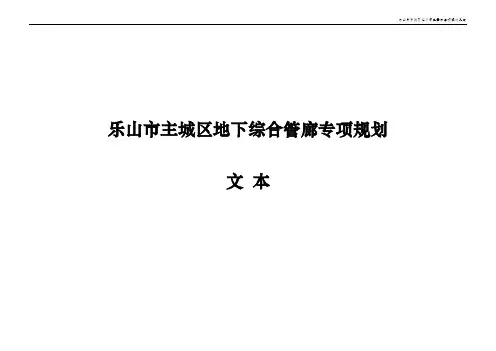 乐山主城区地下综合管廊专项规划.pdf
