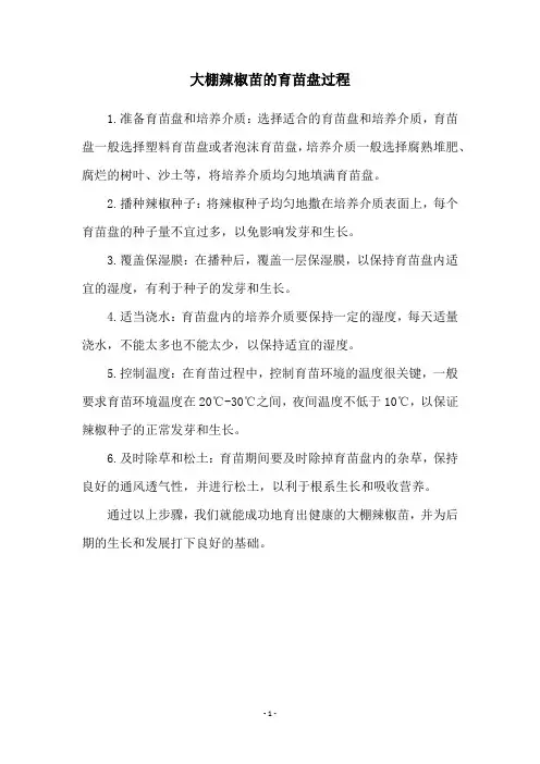 大棚辣椒苗的育苗盘过程