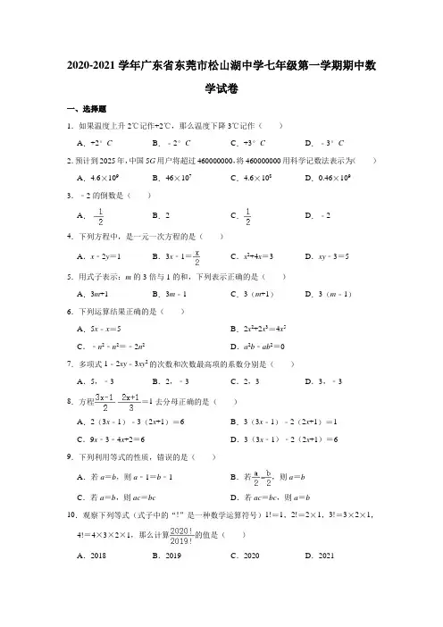 2020-2021学年广东省东莞市松山湖中学七年级(上)期中数学试卷(解析版)