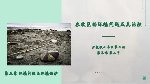 农牧区的环境问题及其治理(课件)七年级地理下册(沪教版上海)