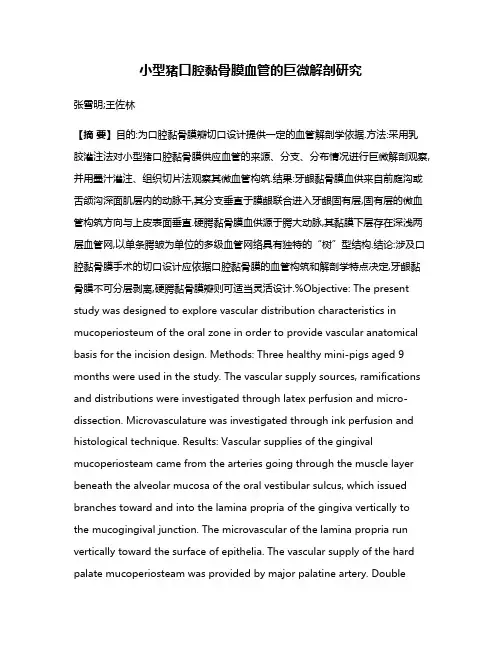 小型猪口腔黏骨膜血管的巨微解剖研究