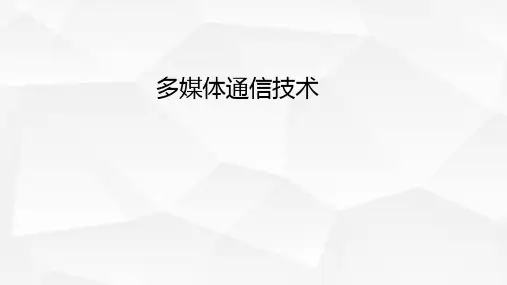 多媒体通信技术与应用多媒体视频会议应用系统与终端