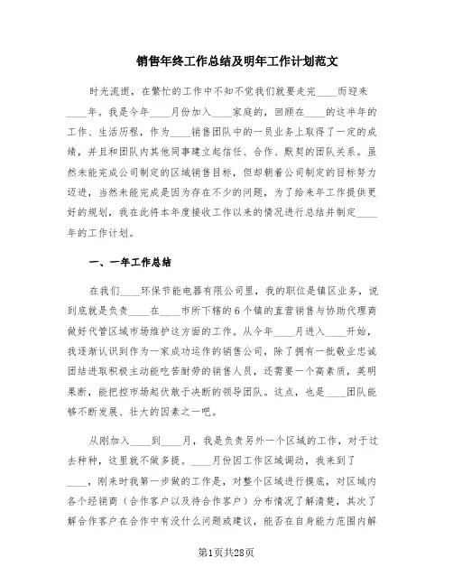销售年终工作总结及明年工作计划范文(10篇)