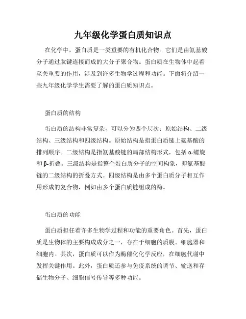九年级化学蛋白质知识点
