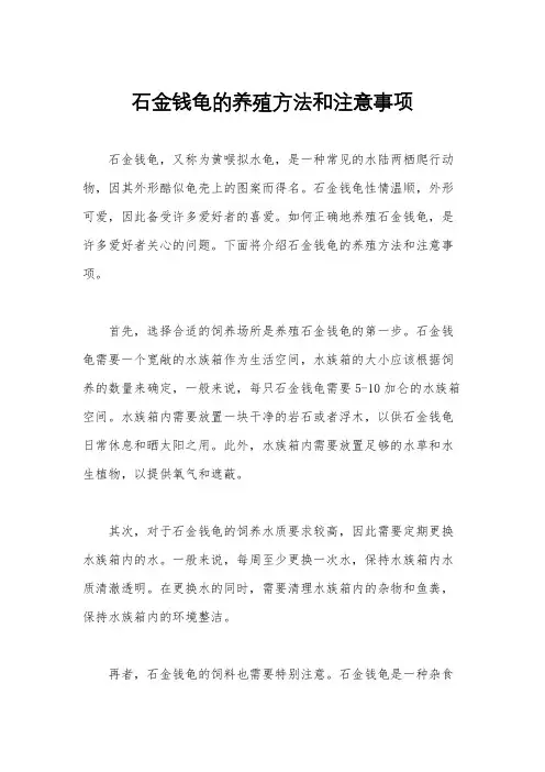 石金钱龟的养殖方法和注意事项