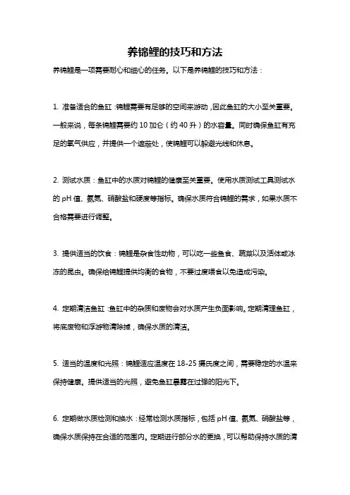 养锦鲤的技巧和方法