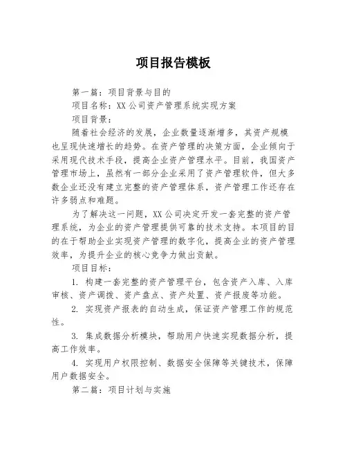 项目报告模板3篇