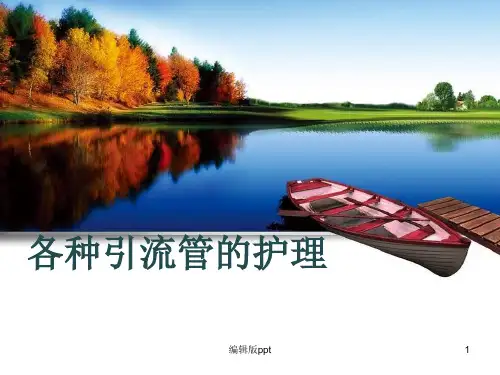 各种引流管的护理ppt课件