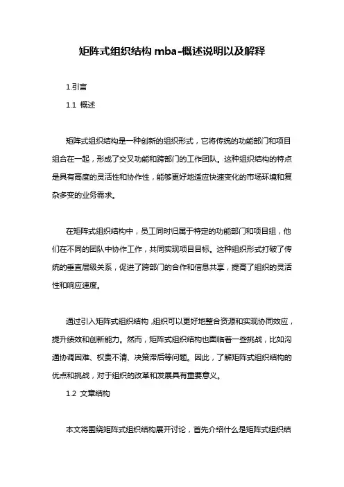 矩阵式组织结构mba-概述说明以及解释