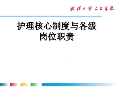 护理核心制度