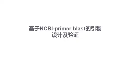 基于NCBI-primer blast的引物设计及验证
