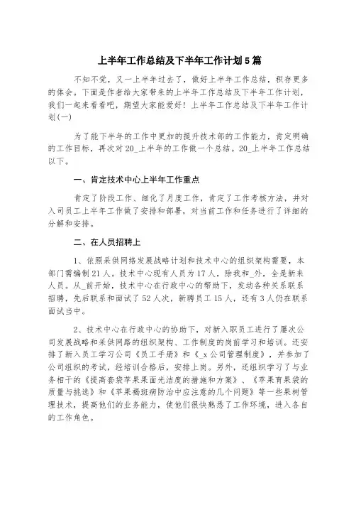 上半年工作总结及下半年工作计划5篇