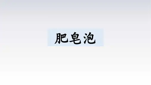 《肥皂泡》ppt课件