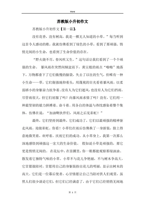 苏教版小升初作文