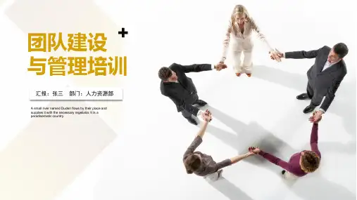 5P团队建设(PPT39页)