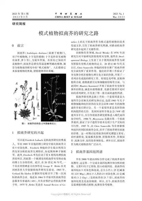 模式植物拟南芥的研究之路