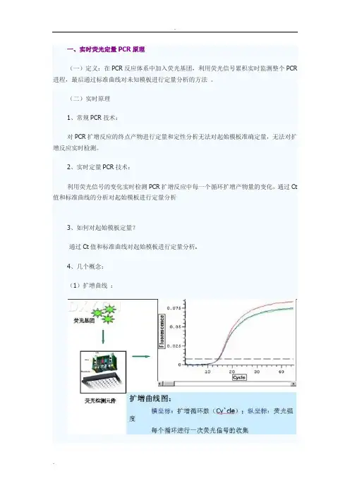 RT-PCR详细图文解析