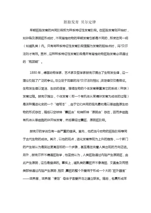 胚胎发育 贝尔定律