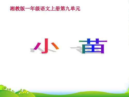 一年级语文上册 小苗课件 湘教版