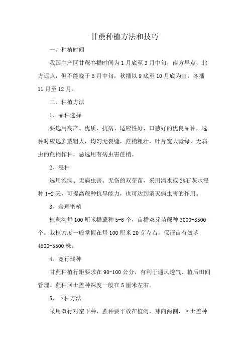 甘蔗种植方法和技巧