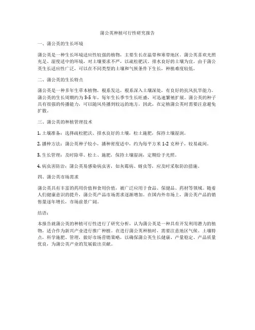 蒲公英种植可行性研究报告