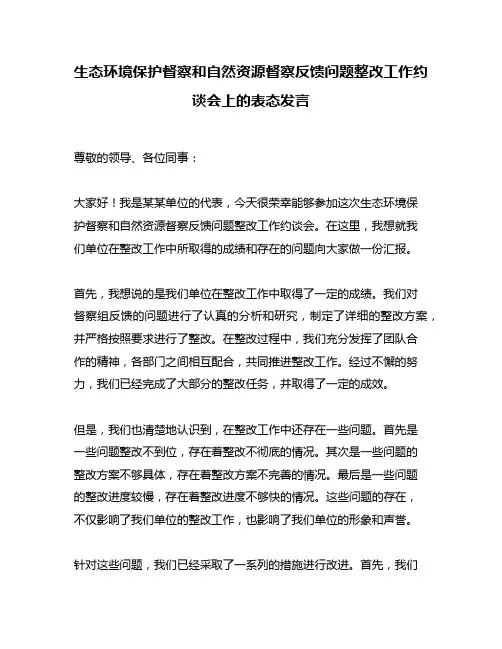 生态环境保护督察和自然资源督察反馈问题整改工作约谈会上的表态发言