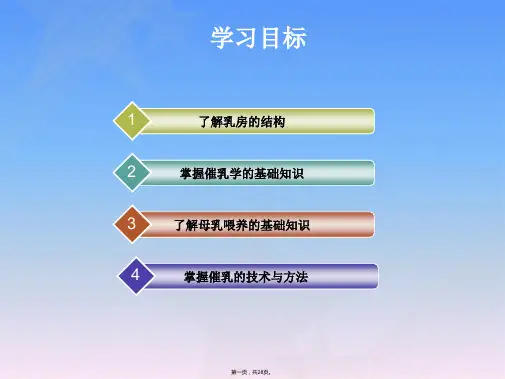 催乳师培训课程