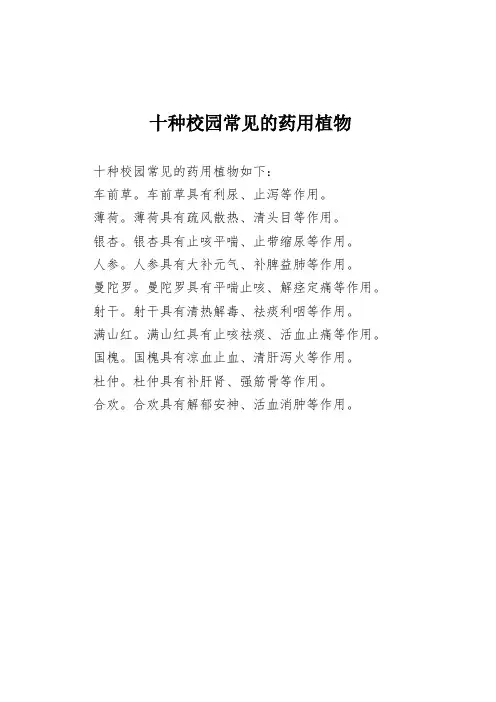 十种校园常见的药用植物