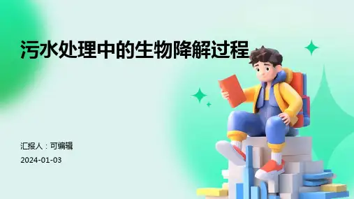 污水处理中的生物降解过程