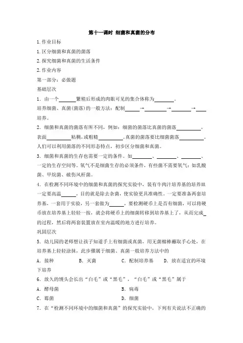 人教版八年级生物上册《第十一课时 细菌和真菌的分布》