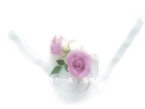 地理空间定位和区域特征分析