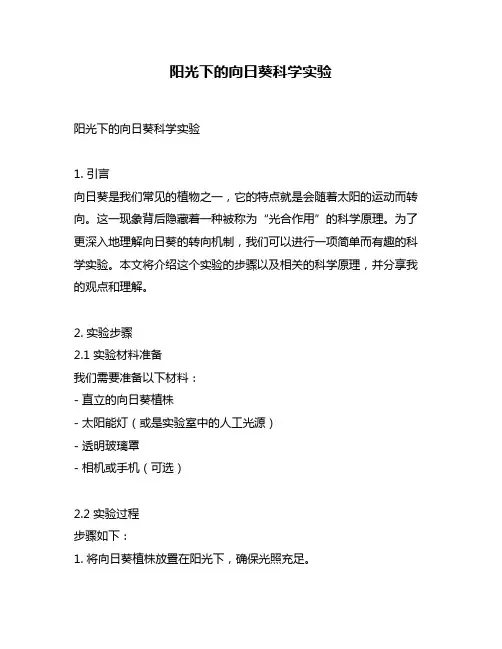 阳光下的向日葵科学实验