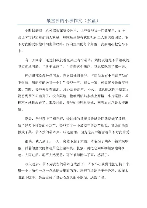 最重要的小事作文(多篇)