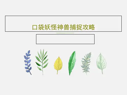 口袋妖怪神兽捕捉攻略共15页