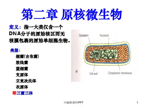 第2章 微生物学(周德庆) 原核生物ppt课件