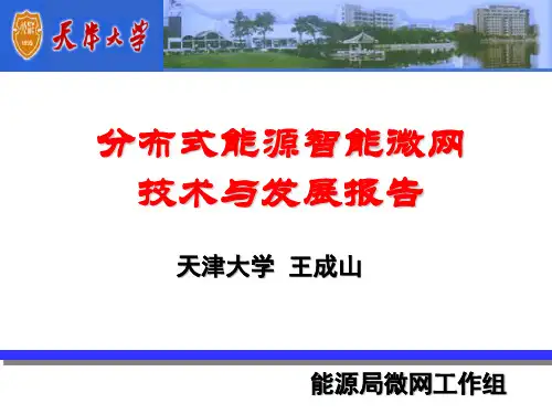分布式能源智能微网技术与发展报告——王成山