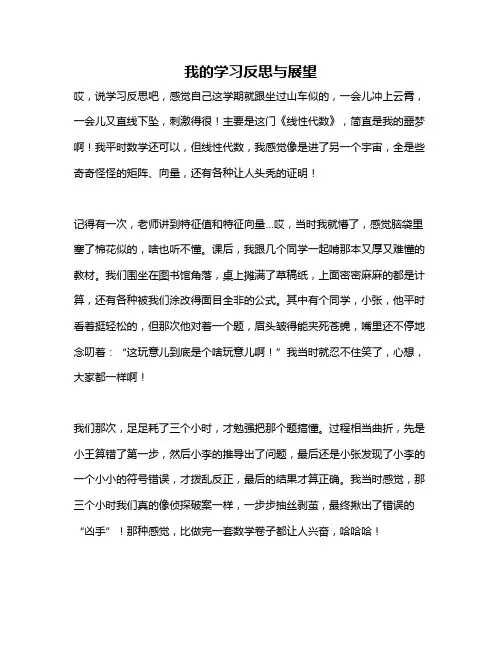 作文《我的学习反思与展望》