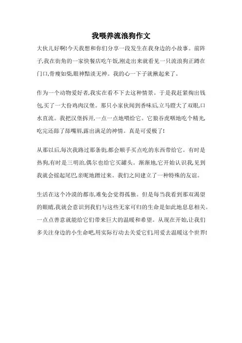 我喂养流浪狗作文