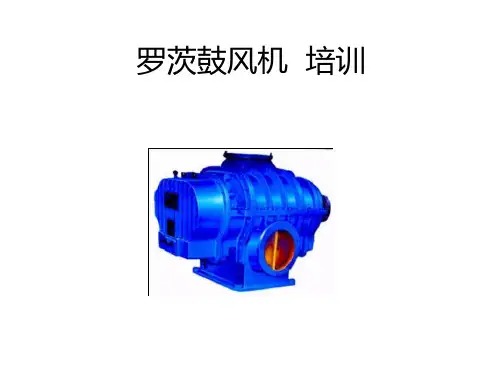 罗茨鼓风机__培训Microsoft_PowerPoint_演示文稿