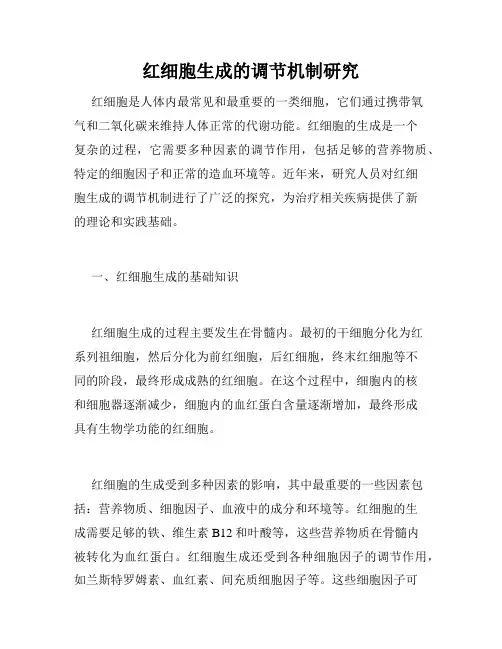 红细胞生成的调节机制研究