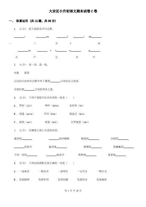 大安区小升初语文期末试卷C卷