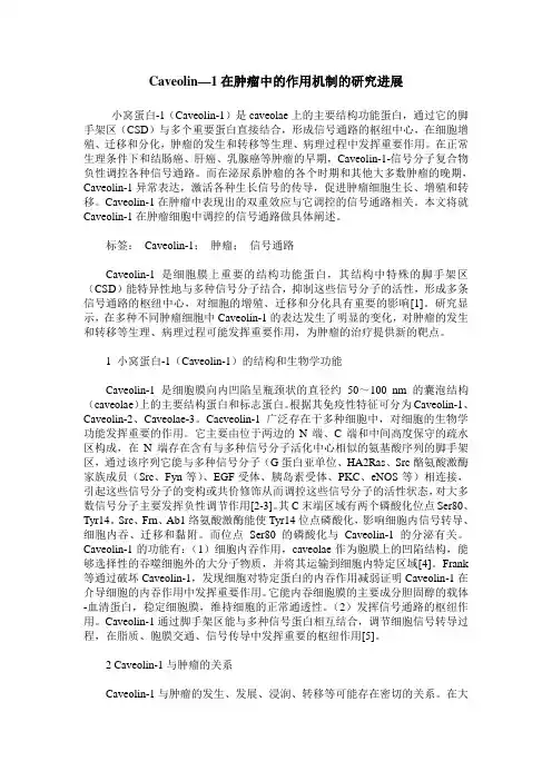 Caveolin—1在肿瘤中的作用机制的研究进展